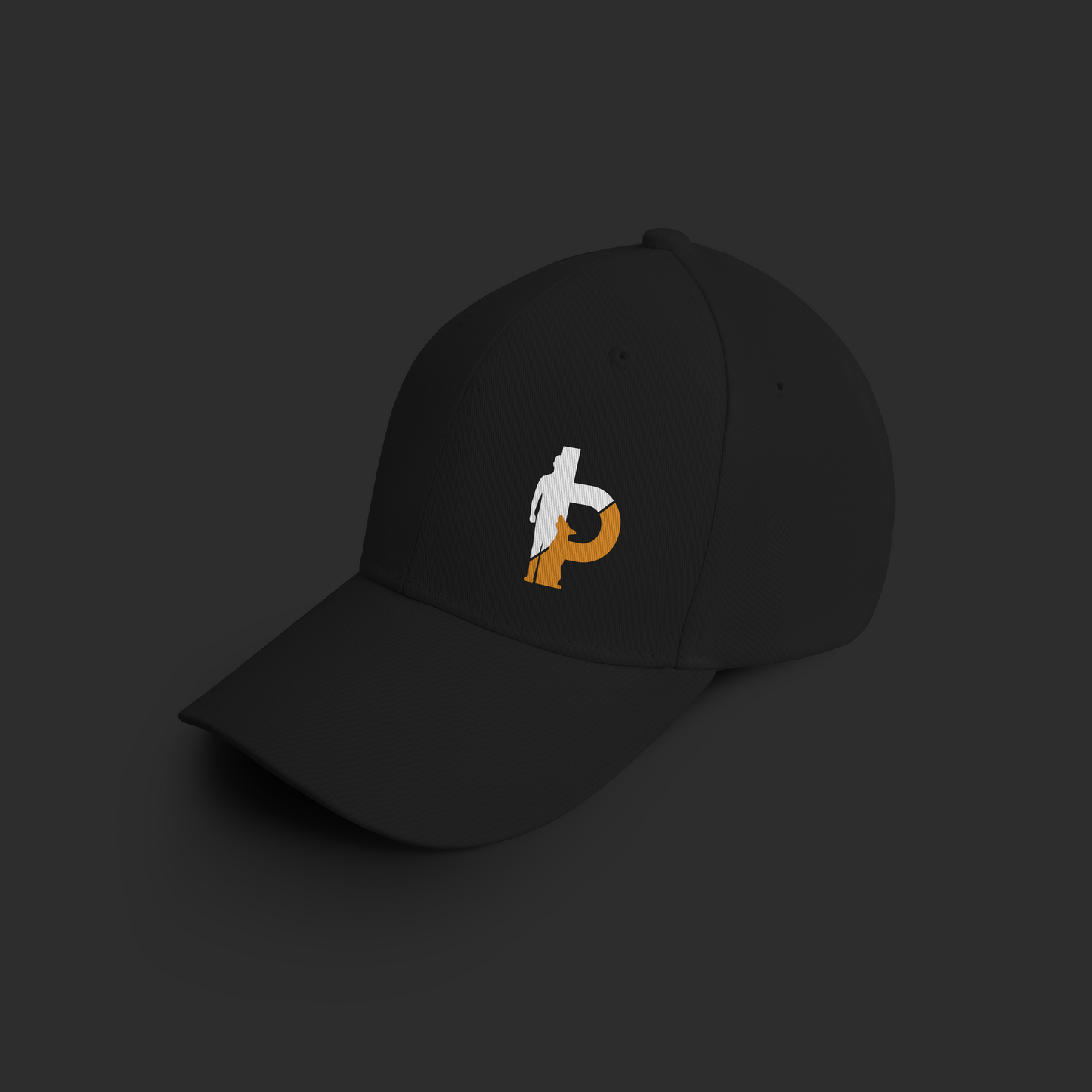 Basic Position Snapback Hat